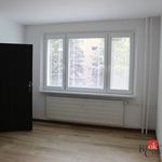 Rent 2 bedroom apartment of 58 m² in Miřetice