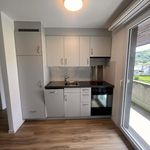 Rent 2 bedroom apartment in Dulliken