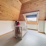 Rent 3 bedroom house of 229 m² in Aalter