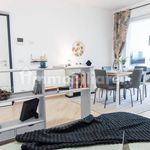 Rent 3 bedroom apartment of 90 m² in Ciampino