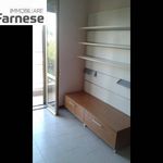 Affitto 4 camera appartamento di 110 m² in Piacenza