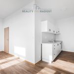 Rent 1 bedroom apartment of 1336 m² in Ostrava