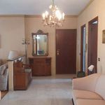 Rent 4 bedroom apartment of 121 m² in Turin