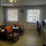 Rent 1 bedroom apartment of 32 m² in Plzeň