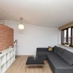 Rent 1 bedroom apartment of 43 m² in Poznań