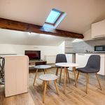 Rent 1 bedroom apartment of 13 m² in Lyon