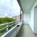 Rent 2 bedroom apartment of 37 m² in Chemnitz
