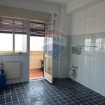 Rent 4 bedroom apartment of 125 m² in Gravina di Catania
