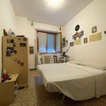 Rent 4 bedroom apartment of 65 m² in Sienna