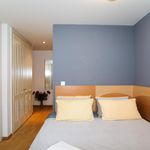 Rent 2 bedroom apartment of 34 m² in Praha