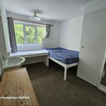 Rent 8 bedroom student apartment in Hatfield