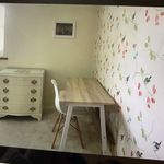 Rent 1 bedroom house in Bournemouth