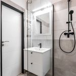 Rent 1 bedroom apartment in Praha