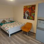 Rent 1 bedroom apartment of 63 m² in Karlsruhe