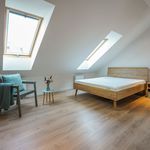 Rent 2 bedroom apartment of 61 m² in SZCZECIN