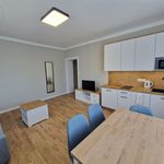 Wynajmij 1 sypialnię apartament z 25 m² w Poznań