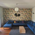 Rent 8 bedroom house of 270 m² in Krefeld
