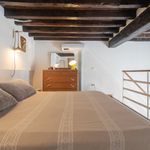 Rent 1 bedroom apartment of 45 m² in Firenze