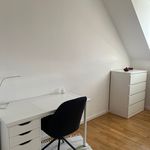 Rent 3 bedroom apartment of 48 m² in Braunschweig