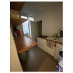 Rent 1 bedroom apartment of 34 m² in Montpellier