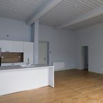 Rent 3 bedroom apartment of 81 m² in BRIOUDET