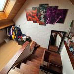 Huur 3 slaapkamer huis van 550 m² in Ternat