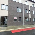 Rent 1 bedroom apartment in Herentals
