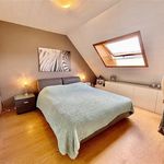 Rent 3 bedroom house of 280 m² in Leuven