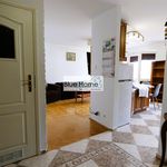 Rent 2 bedroom apartment of 50 m² in Toruń