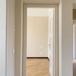 Rent 3 bedroom apartment of 200 m² in Milano