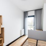 Rent 3 bedroom apartment of 61 m² in Poznań