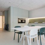 Rent 1 bedroom apartment of 29 m² in Hasselt