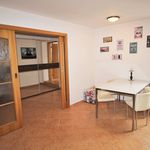Rent 4 bedroom apartment of 155 m² in Prague