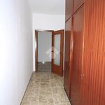 Affitto 4 camera appartamento di 91 m² in Gavi