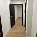 Rent 2 bedroom apartment of 55 m² in Pescara