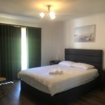 Rent 4 bedroom house in Golden Beach