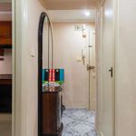 Rent 3 bedroom apartment of 73 m² in València