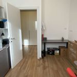 Rent 3 bedroom apartment of 120 m² in Cinisello Balsamo