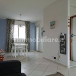 Rent 3 bedroom apartment of 70 m² in Viareggio