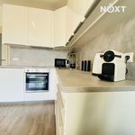 Rent 1 bedroom apartment of 29 m² in Pardubice