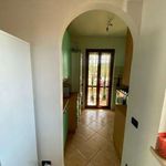 Rent 5 bedroom apartment of 110 m² in Roma