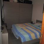 Rent 2 bedroom apartment in Temse