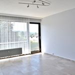 Rent 1 bedroom apartment of 47 m² in Namur