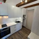 Pronajměte si 1 ložnic/e byt o rozloze 53 m² v Lednice