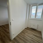 Rent 4 bedroom apartment of 107 m² in Brno