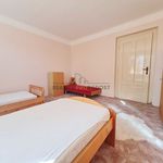Rent 1 bedroom apartment of 18 m² in Týniště nad Orlicí