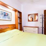 Rent 1 bedroom apartment of 45 m² in Roma