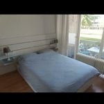 Huur 1 slaapkamer appartement van 45 m² in Enschede