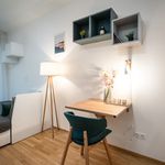 Rent 1 bedroom apartment of 34 m² in Prague
