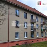 Rent 1 bedroom apartment of 39 m² in Příbram